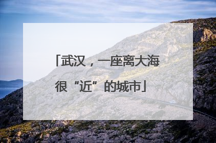 武汉，一座离大海很“近”的城市