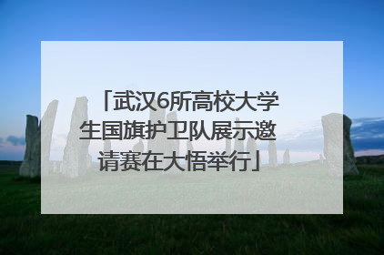 武汉6所高校大学生国旗护卫队展示邀请赛在大悟举行