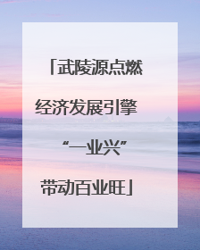 武陵源点燃经济发展引擎 “一业兴”带动百业旺