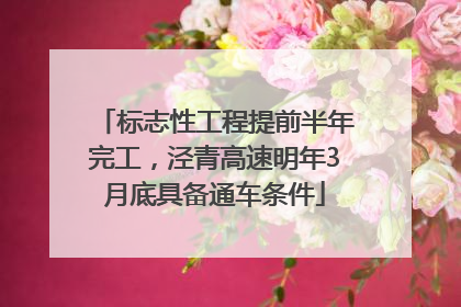 标志性工程提前半年完工，泾青高速明年3月底具备通车条件
