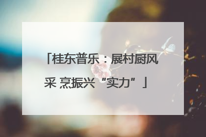 桂东普乐：展村厨风采 烹振兴“实力”