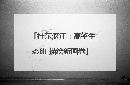 桂东沤江：高擎生态旗 描绘新画卷