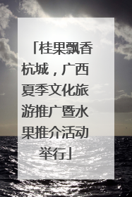 桂果飘香杭城，广西夏季文化旅游推广暨水果推介活动举行