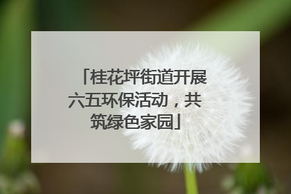桂花坪街道开展六五环保活动，共筑绿色家园