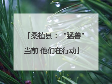 桑植县：“猛兽”当前 他们在行动