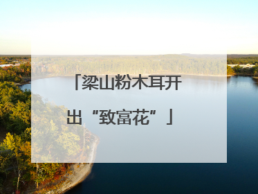 梁山粉木耳开出“致富花”