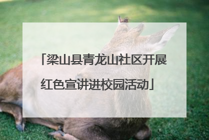 梁山县青龙山社区开展红色宣讲进校园活动