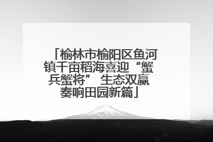 榆林市榆阳区鱼河镇千亩稻海喜迎“蟹兵蟹将” 生态双赢奏响田园新篇