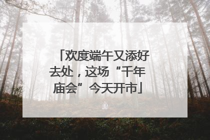 欢度端午又添好去处，这场“千年庙会”今天开市