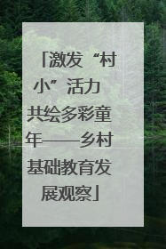 激发“村小”活力 共绘多彩童年——乡村基础教育发展观察