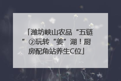 潍坊峡山农品“五链”②玩转“姜”湖！厨房配角站养生C位