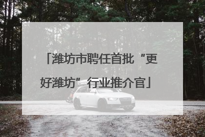 潍坊市聘任首批“更好潍坊”行业推介官