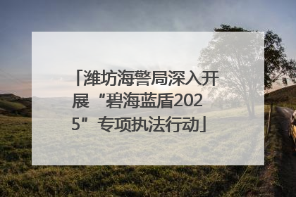 潍坊海警局深入开展“碧海蓝盾2025”专项执法行动
