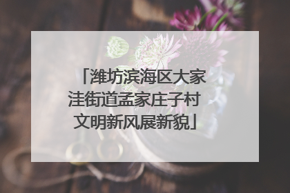 潍坊滨海区大家洼街道孟家庄子村文明新风展新貌