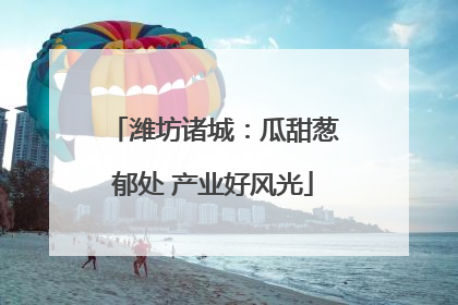 潍坊诸城：瓜甜葱郁处 产业好风光