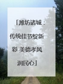 潍坊诸城：传统佳节绽新彩 美德孝风润民心