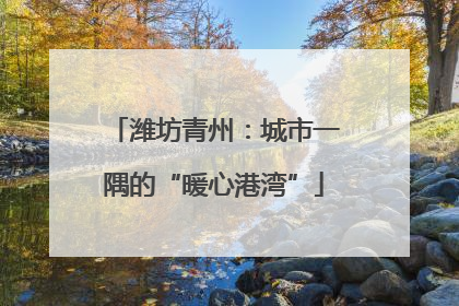 潍坊青州：城市一隅的“暖心港湾”