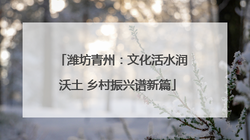 潍坊青州：文化活水润沃土 乡村振兴谱新篇