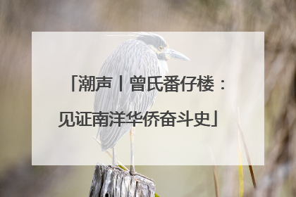 潮声丨曾氏番仔楼：见证南洋华侨奋斗史