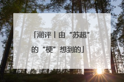 潮评丨由“苏超”的“梗”想到的
