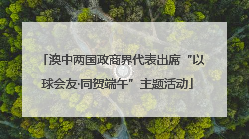 澳中两国政商界代表出席“以球会友·同贺端午”主题活动