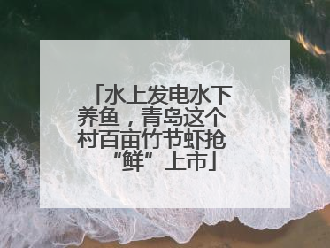 水上发电水下养鱼，青岛这个村百亩竹节虾抢“鲜”上市