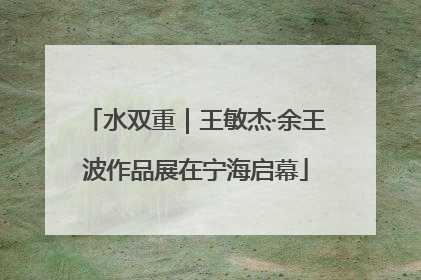 水双重｜王敏杰·余王波作品展在宁海启幕