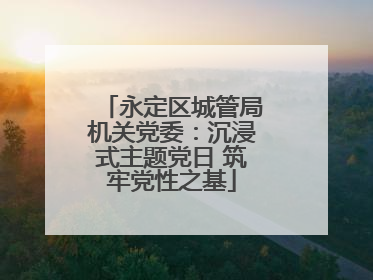 永定区城管局机关党委：沉浸式主题党日 筑牢党性之基