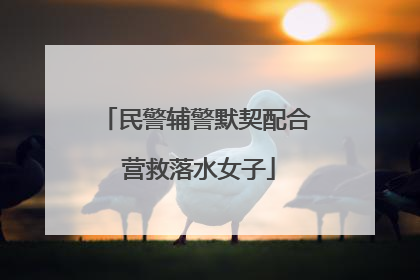 民警辅警默契配合 营救落水女子