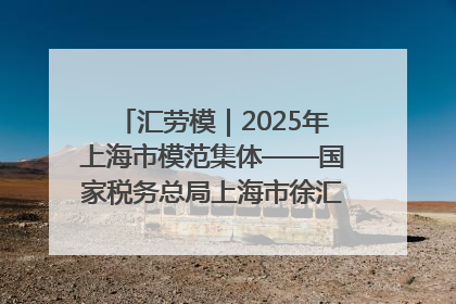 汇劳模｜2025年上海市模范集体——国家税务总局上海市徐汇区税务局第一税务所