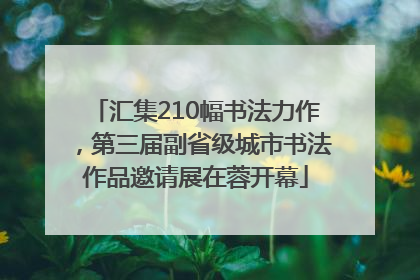 汇集210幅书法力作，第三届副省级城市书法作品邀请展在蓉开幕
