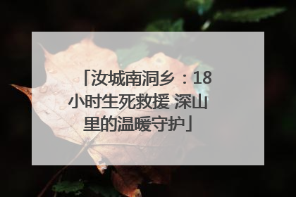 汝城南洞乡：18小时生死救援 深山里的温暖守护