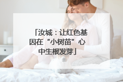 汝城：让红色基因在“小树苗”心中生根发芽