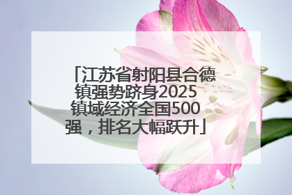 江苏省射阳县合德镇强势跻身2025镇域经济全国500强，排名大幅跃升