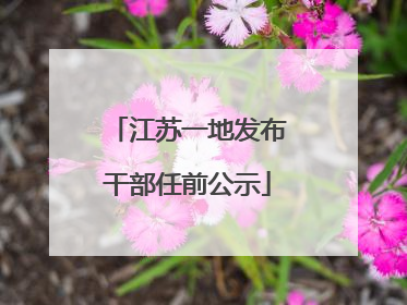 江苏一地发布干部任前公示