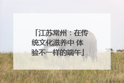 江苏常州：在传统文化滋养中 体验不一样的端午