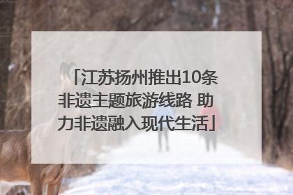 江苏扬州推出10条非遗主题旅游线路 助力非遗融入现代生活