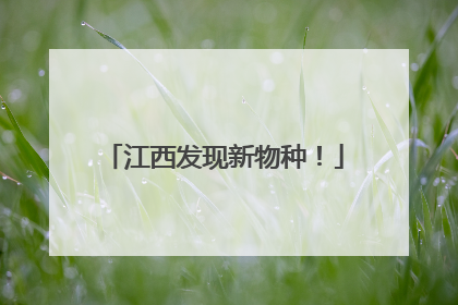 江西发现新物种！