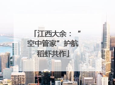 江西大余：“空中管家”护航稻虾共作