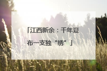 江西新余：千年夏布一支独“绣”