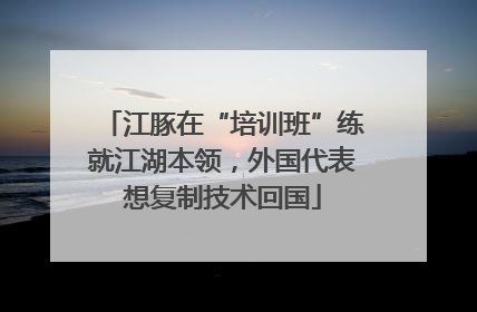 江豚在“培训班”练就江湖本领，外国代表想复制技术回国
