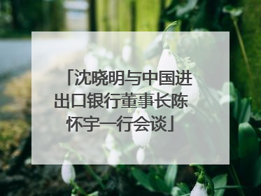 沈晓明与中国进出口银行董事长陈怀宇一行会谈
