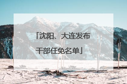 沈阳、大连发布干部任免名单