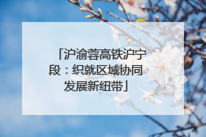 沪渝蓉高铁沪宁段：织就区域协同发展新纽带