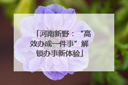 河南新野：“高效办成一件事”解锁办事新体验