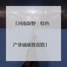 河南新野：特色产业铺就致富路