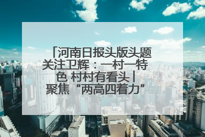 河南日报头版头题关注卫辉：一村一特色 村村有看头 ︳聚焦“两高四着力”·一“县”观察