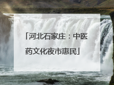 河北石家庄：中医药文化夜市惠民
