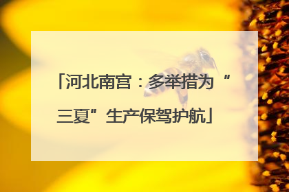 河北南宫：多举措为“三夏”生产保驾护航