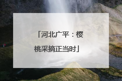 河北广平：樱桃采摘正当时